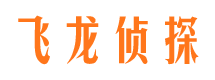 永定市侦探调查公司